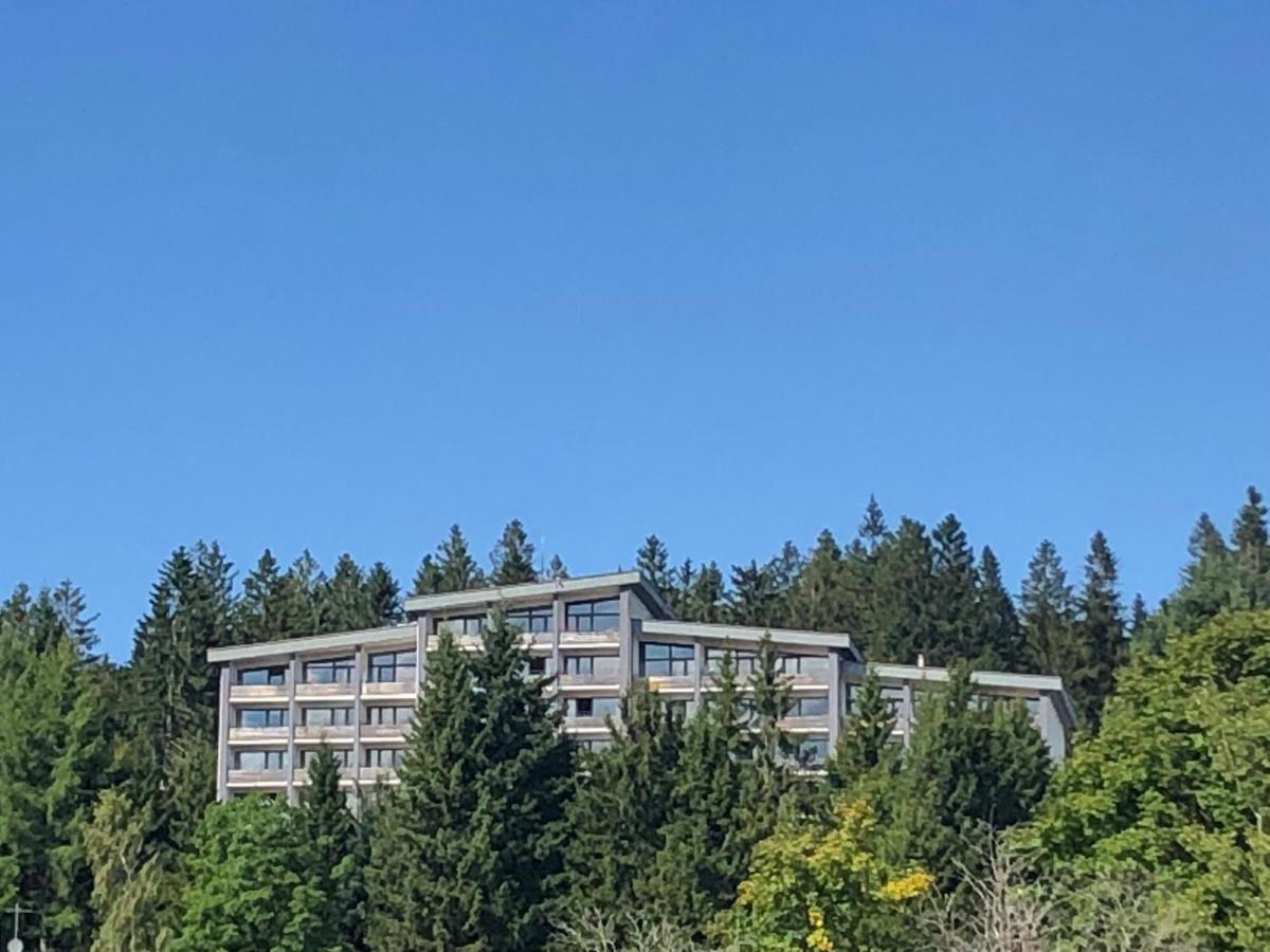 Panorama Bayerwald Apartamento Neureichenau Exterior foto