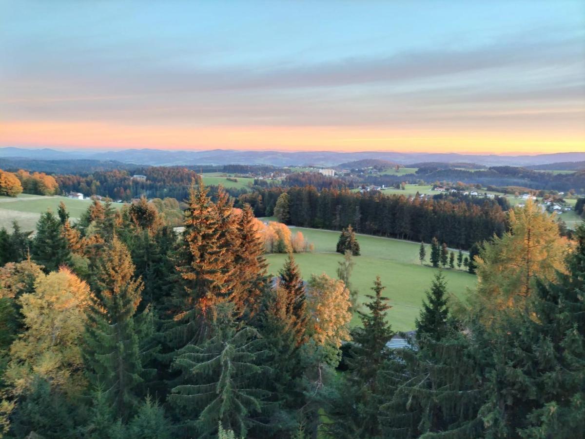 Panorama Bayerwald Apartamento Neureichenau Exterior foto
