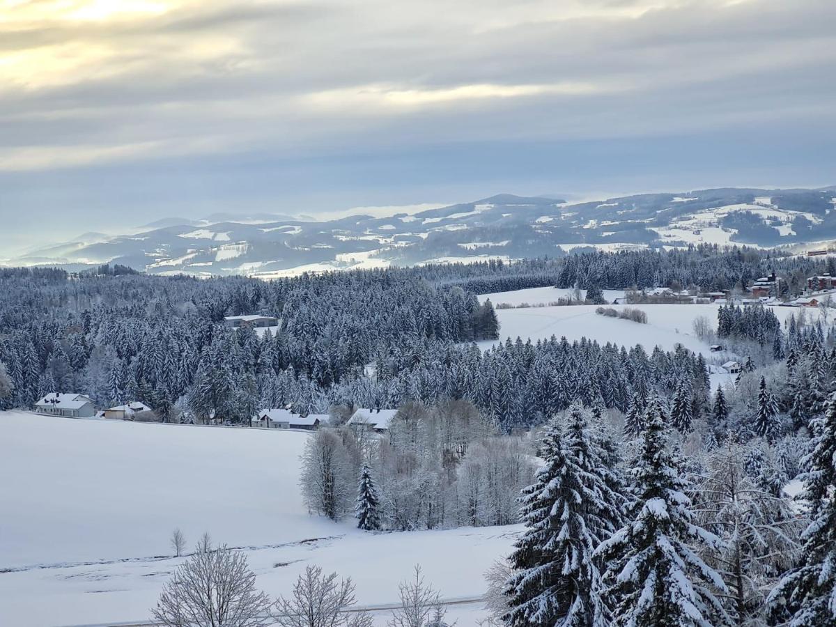 Panorama Bayerwald Apartamento Neureichenau Exterior foto